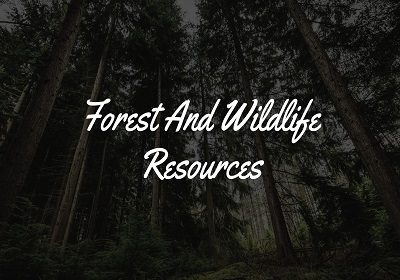 forest and wildlife resources
