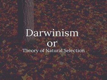 darwinism or theory of natural selection