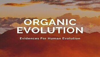organic evolution