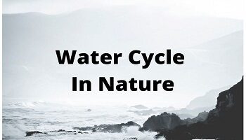 water cycle in environment