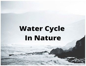 water cycle in environment