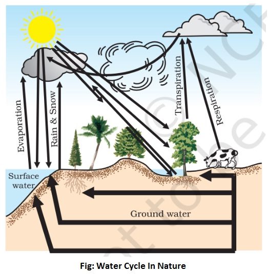water cycle in nature