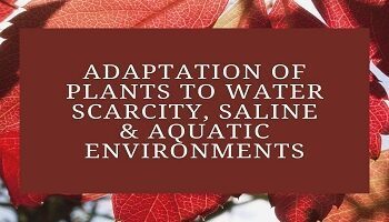 Adaptation of Plants to Water Scarcity, Saline and Aquatic Environments