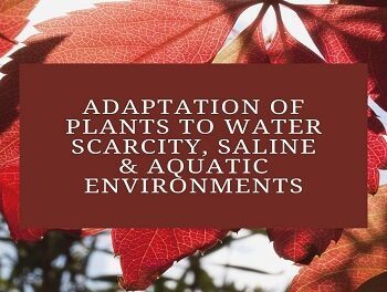 Adaptation of Plants to Water Scarcity, Saline and Aquatic Environments