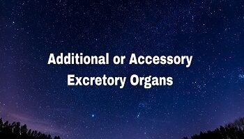 Additional or Accessory Excretory Organs