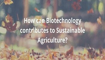 Biotechnology contributes to Sustainable Agriculture