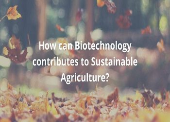 Biotechnology contributes to Sustainable Agriculture