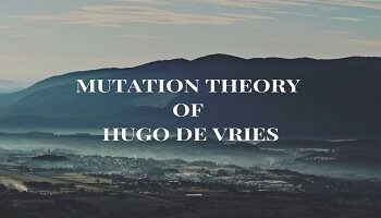 Mutation Theory of Hugo de Vries