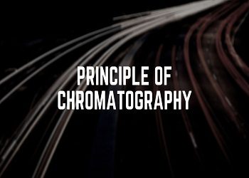 Principle of Chromatography