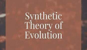 Synthetic Theory of Evolution