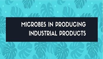 microbes in producing industrial products