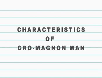 Characteristics of Cro-Magnon Man
