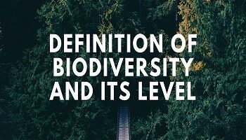 Definition of Biodiversity and its Level