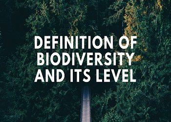 Definition of Biodiversity and its Level