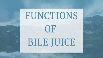Functions of Bile Juice