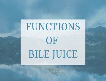 Functions of Bile Juice