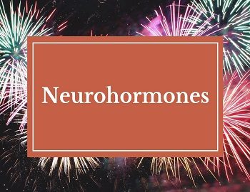 Neurohormones