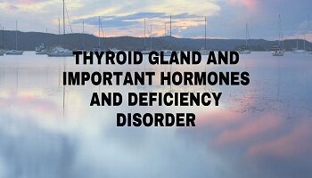 Thyroid Gland And Important Hormones And Deficiency Disorder