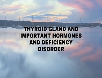 Thyroid Gland And Important Hormones And Deficiency Disorder