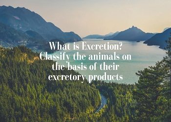 What is Excretion Classify the animals on the basis of their excretory products
