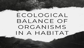 Ecological Balance Of Organisms In A Habitat