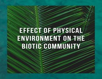 Effect of physical environment on the Biotic Community
