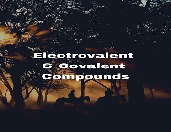 Electrovalent And Covalent Compounds