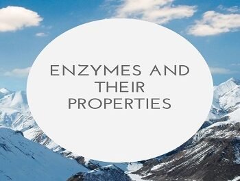 Enzymes And Their Properties