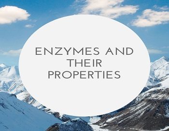 Enzymes And Their Properties