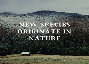 New Species Originate In Nature