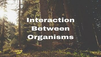 Interaction Between Organisms