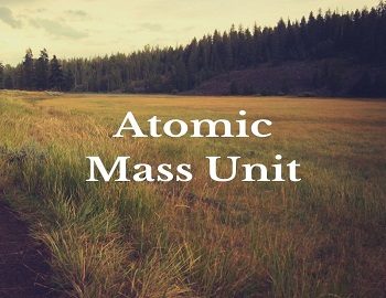 Atomic Mass Unit