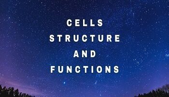 Cells Structure and Functions
