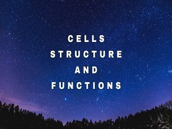 Cells Structure and Functions