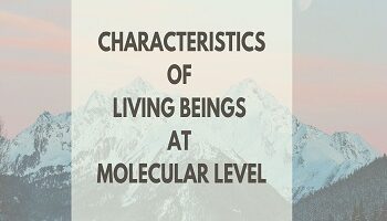 Characteristic of Living Beings at Molecular Level