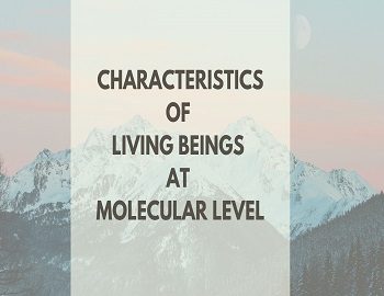 Characteristic of Living Beings at Molecular Level