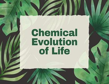 Chemical Evolution of Life