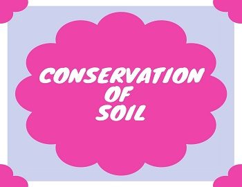 Conservation of Soil