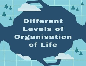 Different Levels of Organisation of Life