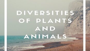 Diversities Of Plants And Animals