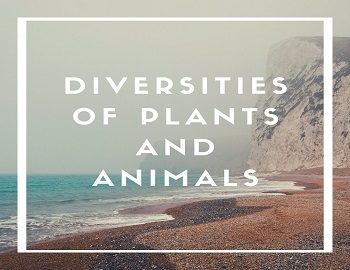 Diversities Of Plants And Animals