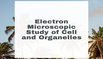 Electron Microscopic Study of Cell and Organelles