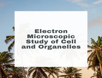 Electron Microscopic Study of Cell and Organelles