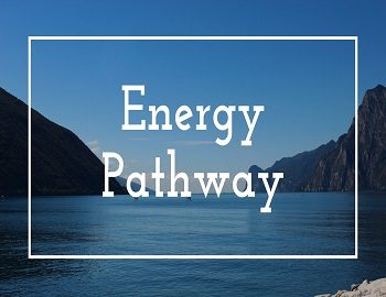 Energy Pathway