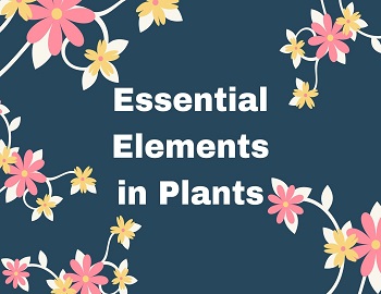 Essential Elements in Plants