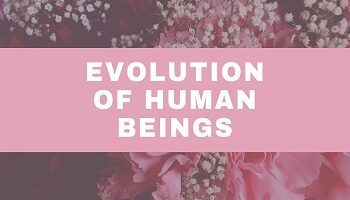 Evolution of Human Beings