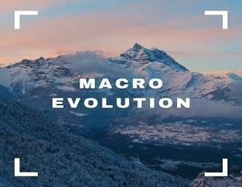 Macro Evolution