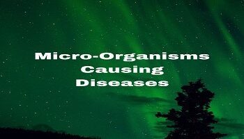 Micro-Organisms Causing Diseases