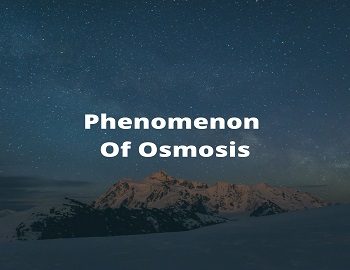 Phenomenon Of Osmosis