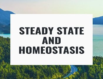 Steady State and Homeostasis